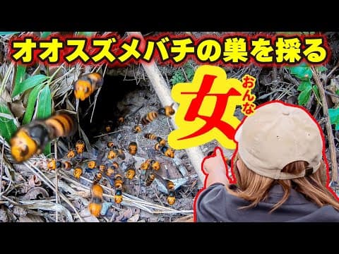 【ホモサピ×はちくまコラボ】長野県でスズメバチ追い体験！